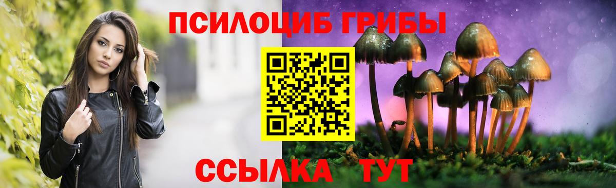 Галлюциногенные грибы мицелий  Псилоцибиновые грибы прущие грибы  Ростов-на-Дону  Вход с VPN 